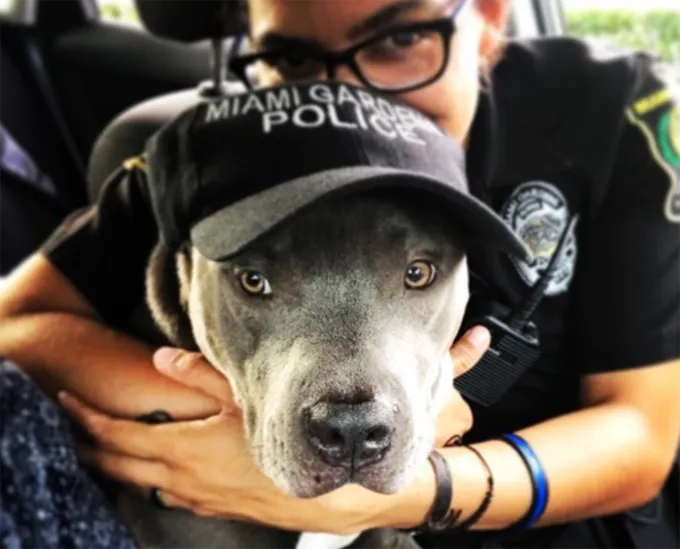 Ņemiet savu suni uz darba dienu!' title=