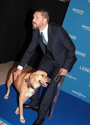 Tom Hardy Brings His Dog, Woody, To The Premier Of 