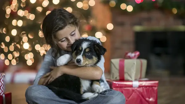 30 De mooiste kerstpuppy's ter wereld [foto]