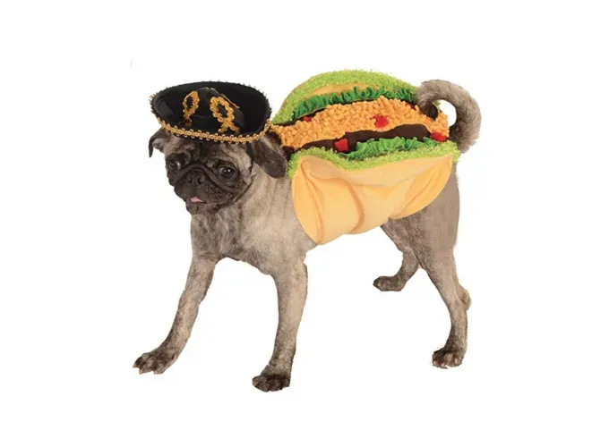 Vesteix el teu gos com el teu menjar preferit per a una deliciosa diversió de Halloween