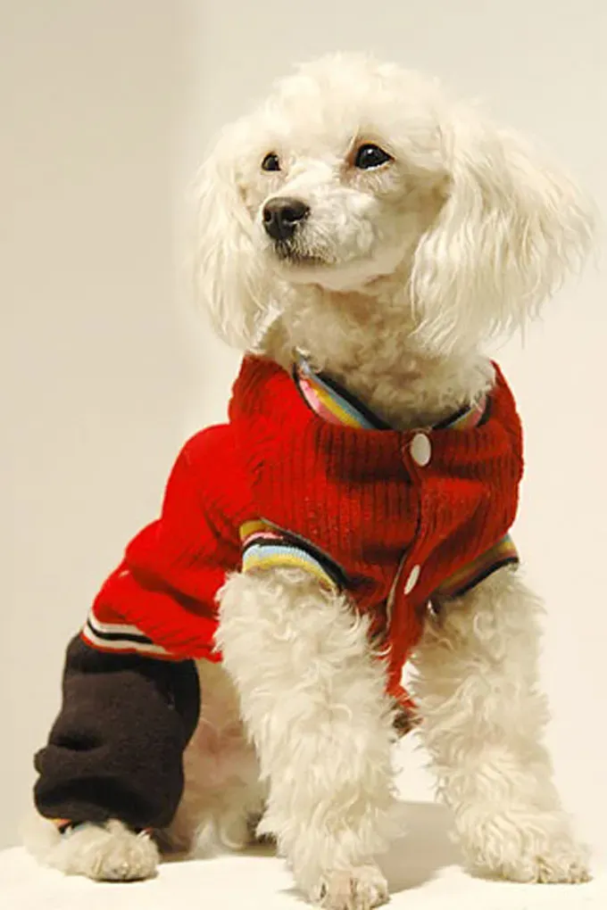 Varcity-Pudel' title=