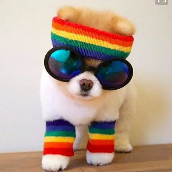 Boo bereit zum Training' title=