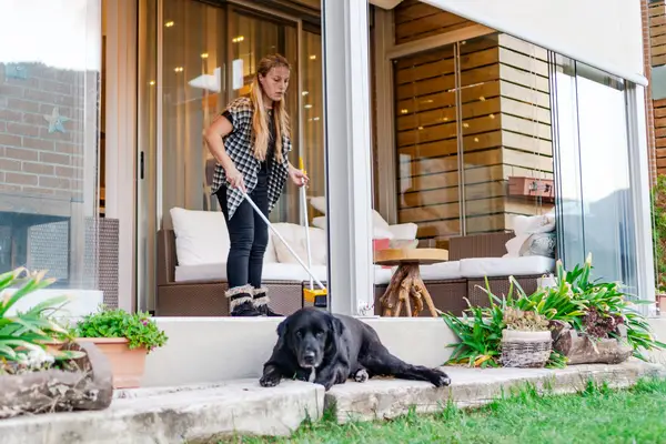 Que dois-je faire avec le chien à l'arrivée des nettoyeurs de maison?