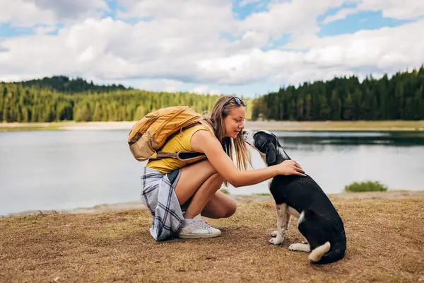 Comment devenir un père de chien conscient