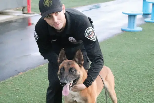 サージェント。