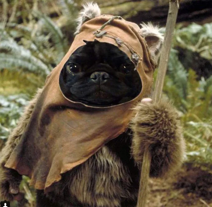 Il personale è troppo.' title=