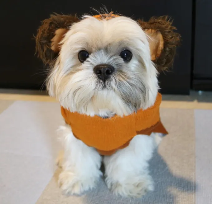 Meno è più guarda.' title=