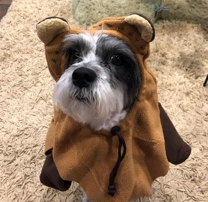 Cosa sta succedendo?' title=