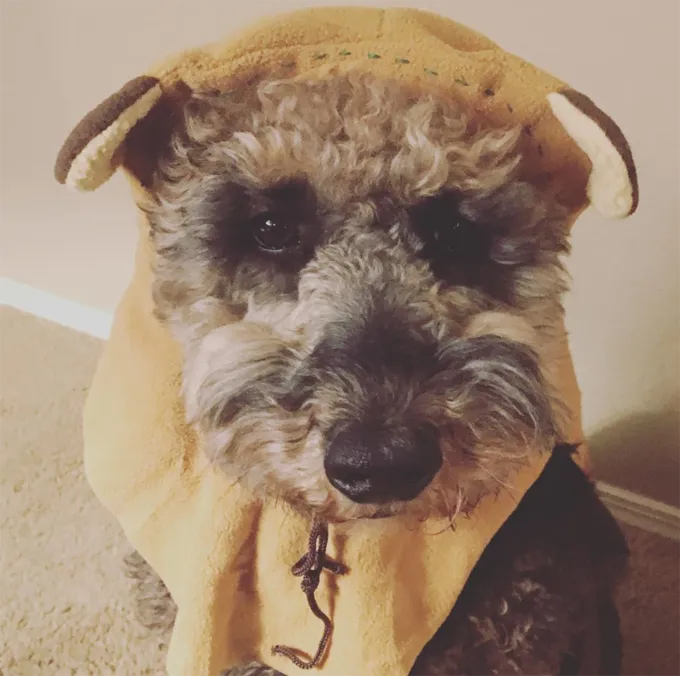 Questo è un nuovo aspetto.' title=