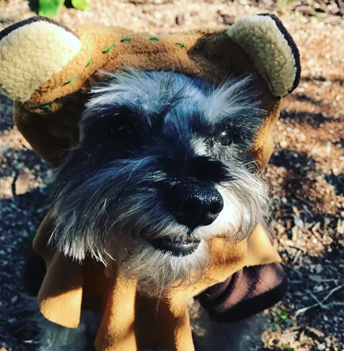 Funziona anche come un cappello caldo.' title=