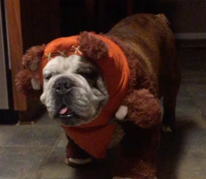 Tirami fuori da questa cosa.' title=