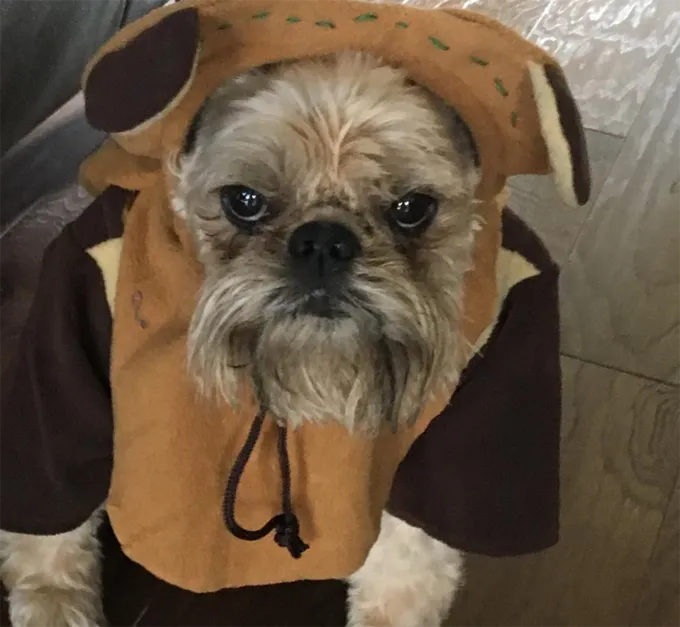 OK... tirami fuori da questa situazione immediatamente.' title=