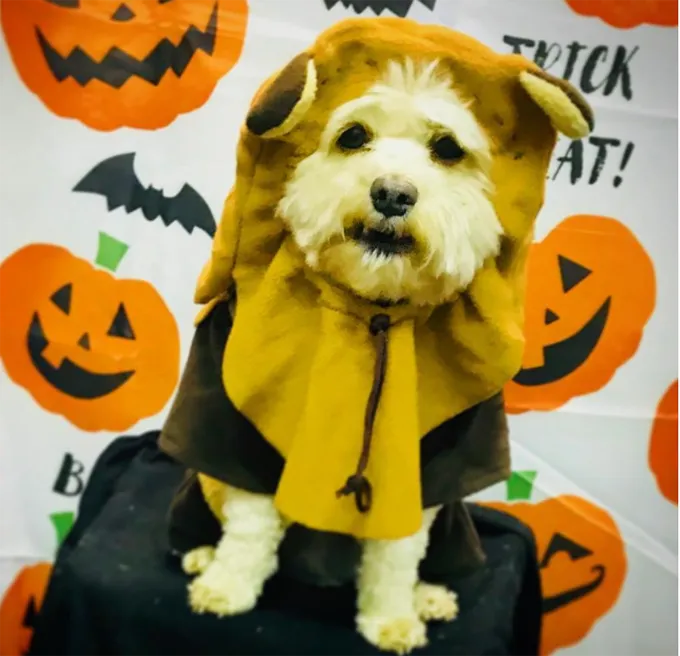 Sì... ci stiamo avvicinando.' title=