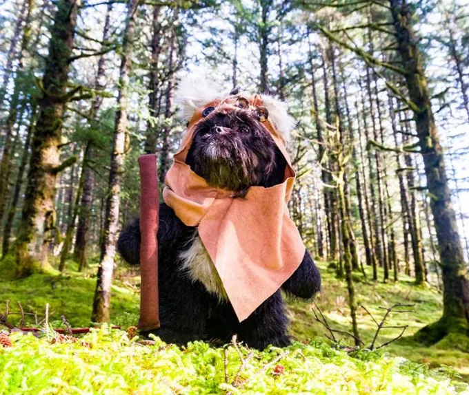 Il preferito numero 1!' title=