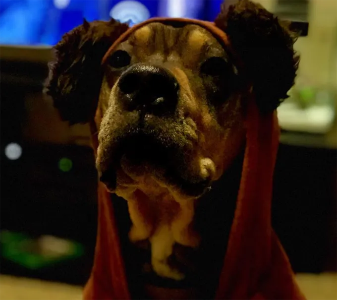 Molto originale.' title=