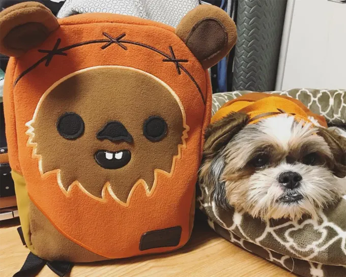 I migliori amici.' title=