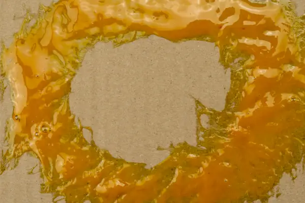 Leere Leim-Mausefalle