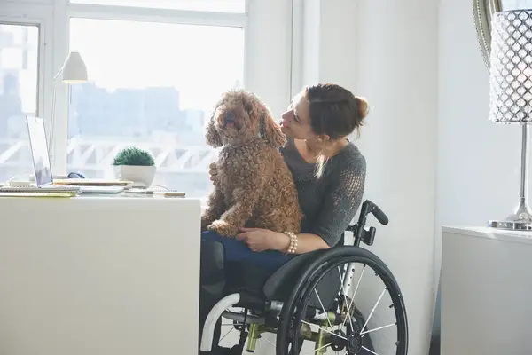 woman in wheelchair working from home with dog on lap