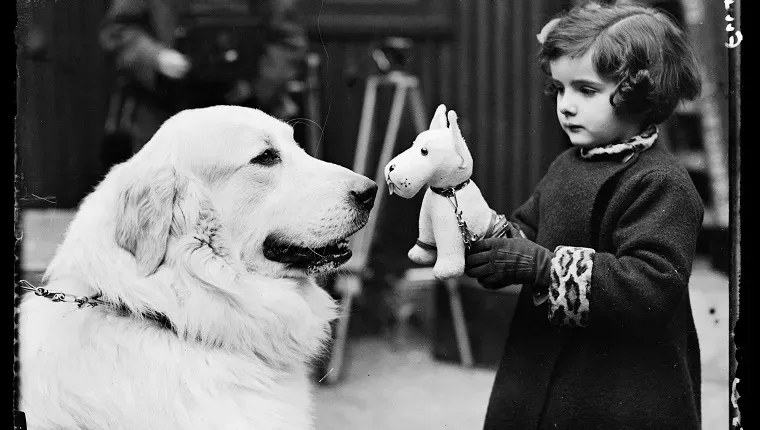 Une petite fille tient un chien en peluche à côté d’un vrai chien lors d’une exposition de Cruft en 1937.' title=