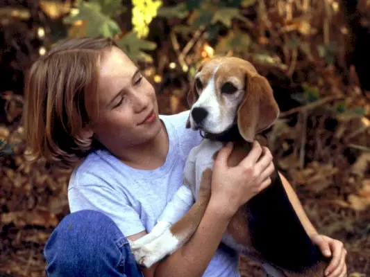 Shiloh (1996) Režija Dale Rosenbloom Prikazano lijevo: Blake Heron