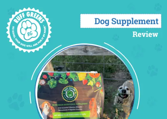 Revisão de suplementos caninos Ruff Greens Premium 2024: análise de um especialista