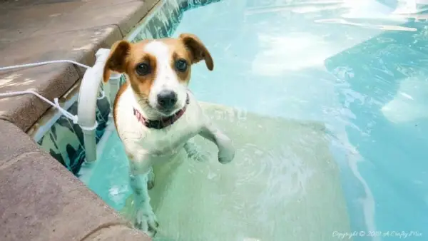 DIY medence tészta rámpa