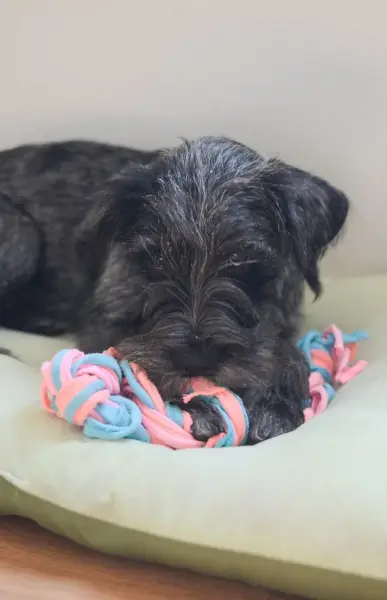 DIY-leksak gjord av gamla t-shirts