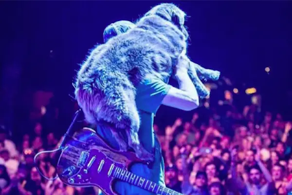 Cocoa the Stick Figure Dog estima la seva vida amb la banda de reggae