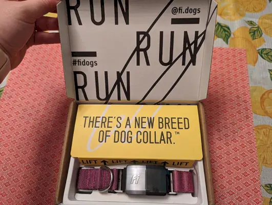 avattu fi smart koiran kaulapantalaatikko