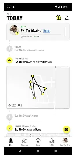fi älykäs koiranpantasovellus live-välilehdellä
