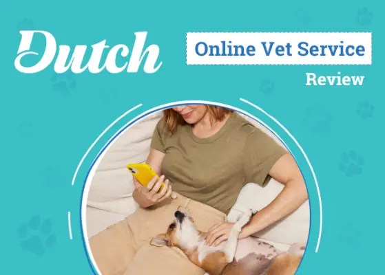 Przegląd holenderskich internetowych usług weterynaryjnych 2024: Podsumowanie eksperta