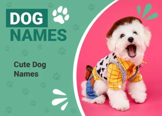 Més de 350 noms de gossos bonics per al vostre adorable nou cadell