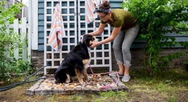 Stație de spălat pentru câini DIY