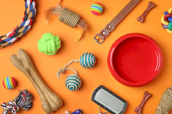 slučajni pribor za pse flatlay