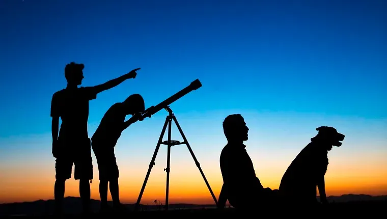 Hunde in der Astronomie: Schauen Sie nach oben, um die Welpen zu sehen
