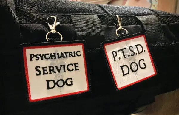 Wat is een psychiatrische en officiële hond?