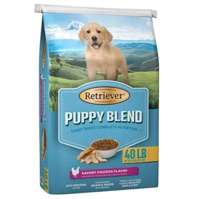 Receita de mistura de frango para cachorro Retriever Ração seca para cachorro