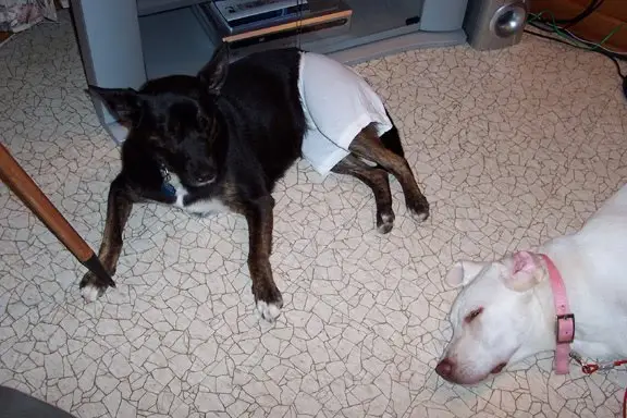 DIY ハンド・ミー・ダウン・ブリッチ