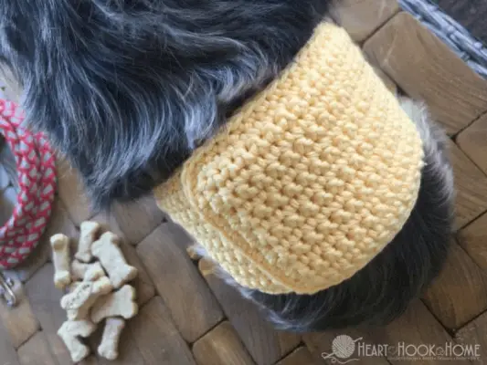 DIYピドルプロテクター