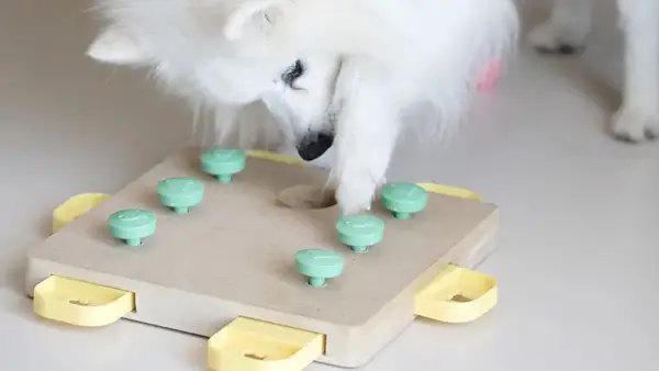 Los mejores juguetes para perros interactivos para mascotas aburridas 2024