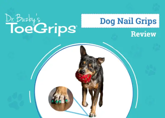 Dr. Buzby's ToeGrips for Dogs Recenzija 2024: Stručna analiza