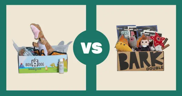 BoxDog vs BarkBox