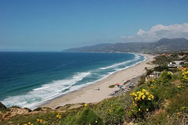 Je pláž Zuma vhodná pre psov? Príručka a bezpečnostné tipy na rok 2024