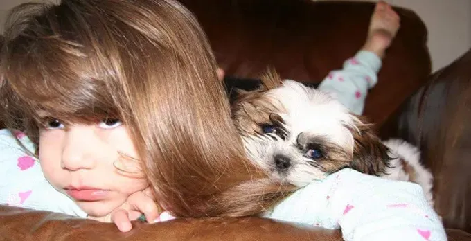 Koiraäiti: 14-vuotiaasta sokeasta Shih Tzustani huolehtiminen' title=