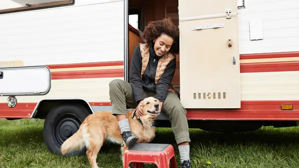 Les meilleures races de chiens pour les femmes célibataires