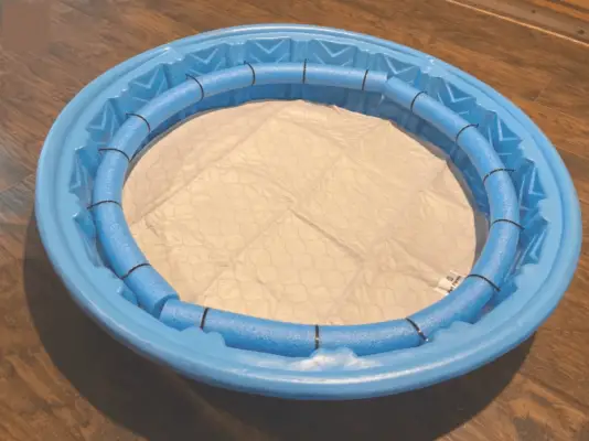 DIY Whelping Box_ Steg-för-steg-anvisningar