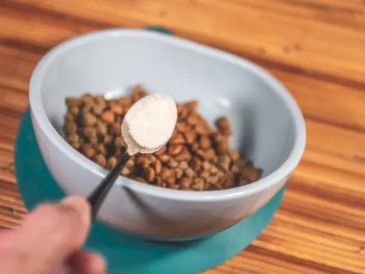 comida de cachorro misturada com probióticos em pó