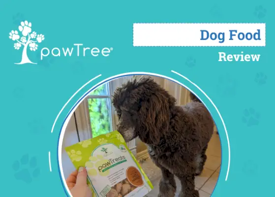 PawTree Dog Food & Treats Review 2024: Defalcarea unui expert