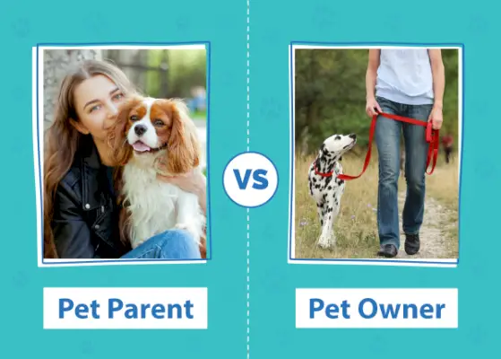 Parent d'animal ou propriétaire d'animal : comment vous appelez-vous, vous et votre chien ?