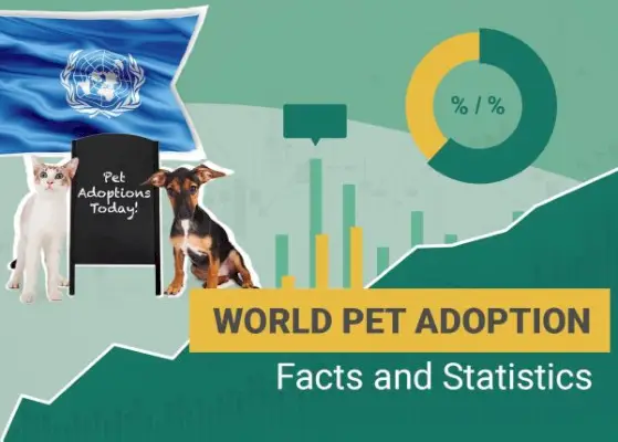 17 statistici și fapte despre adopția animalelor de companie de știut în 2024